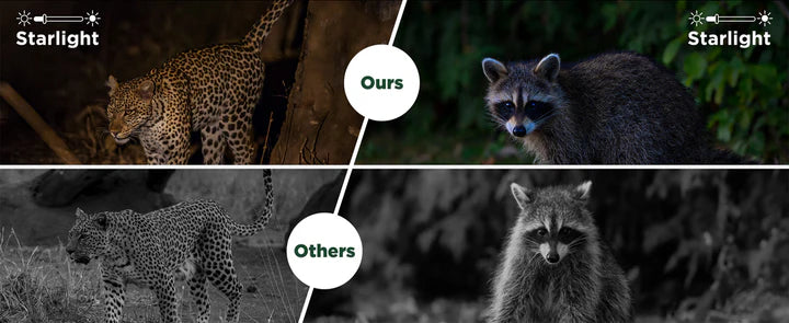 Night vision comparison