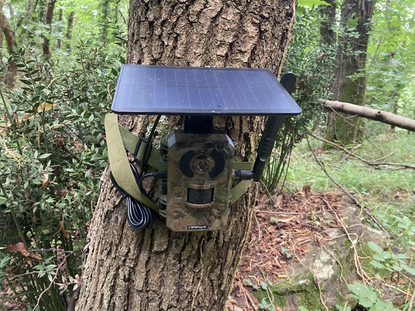 Proper Installation and Use of Trail Cameras