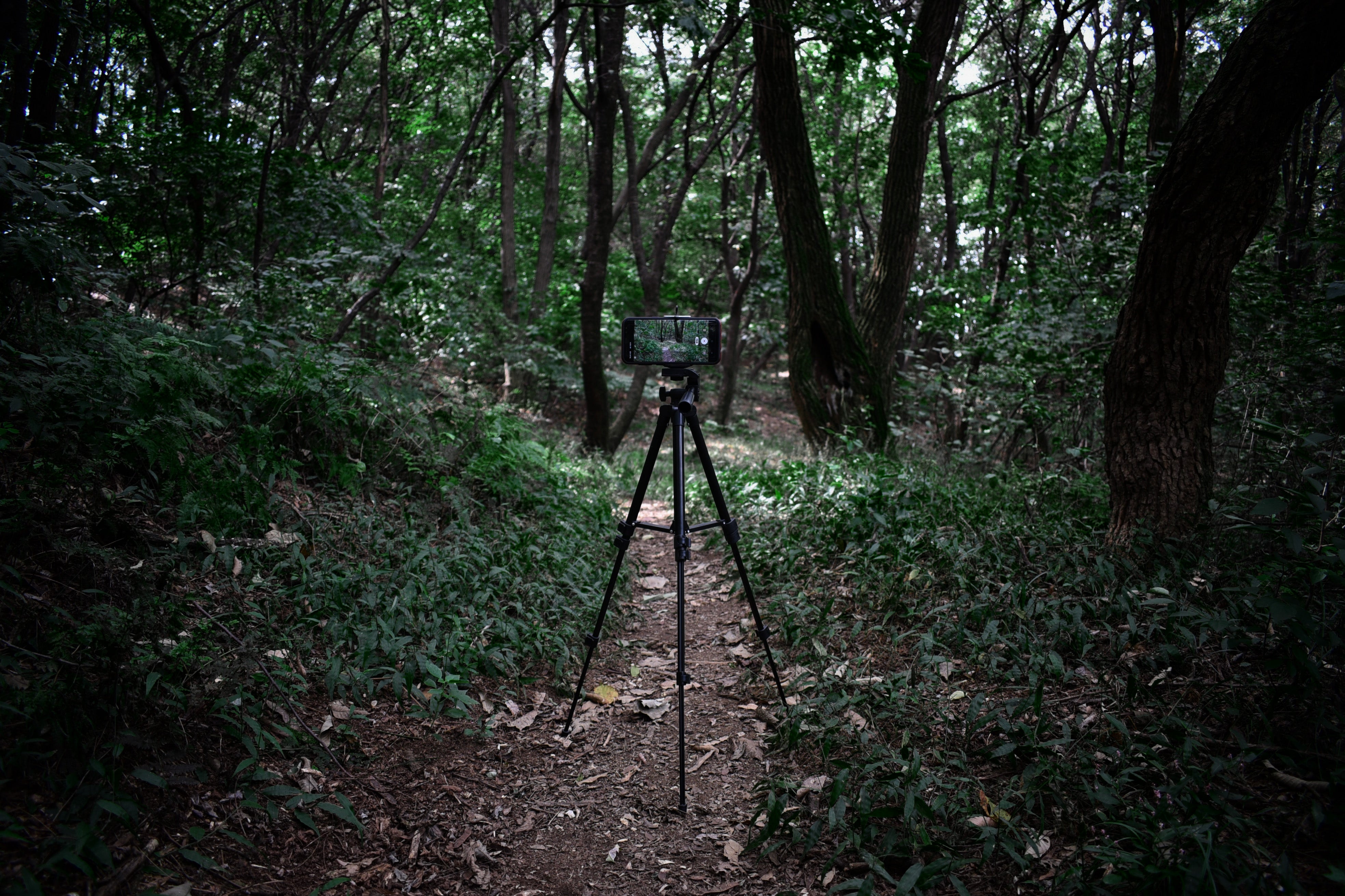 5 Weirdest Things Ever Caught On Trail Cams