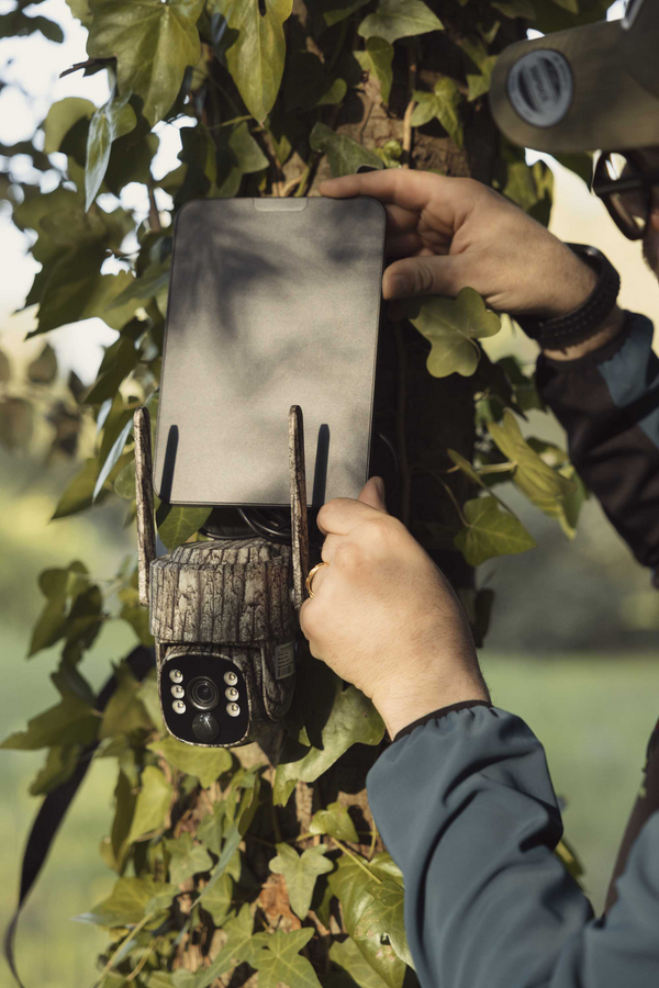 4G Trail Camera Buying Guide: How to Choose the Right Cellular Trail Camera