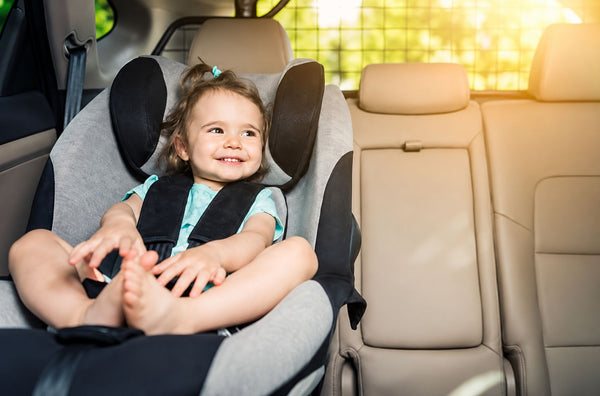 How to Keep an Eye on Your Baby or Pet in the Back Seat While Driving