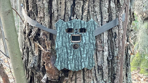 Campark TC21 Trail Camera: In-Depth Review & Test Footage