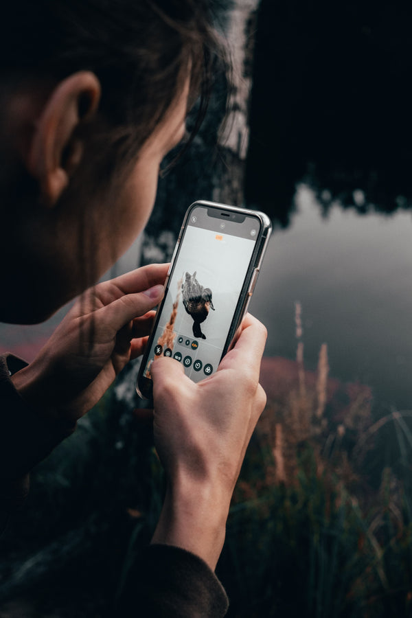 4G Trail Camera Not Sending Pictures? Full Troubleshooting Guide