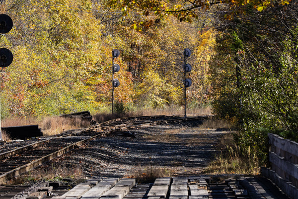 Should your cellular trail camera stay where it was all summer?