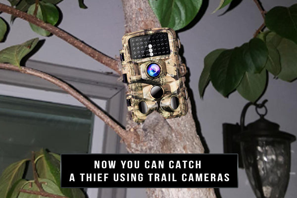 To Catch a Thief - Use a Security Trail Camera