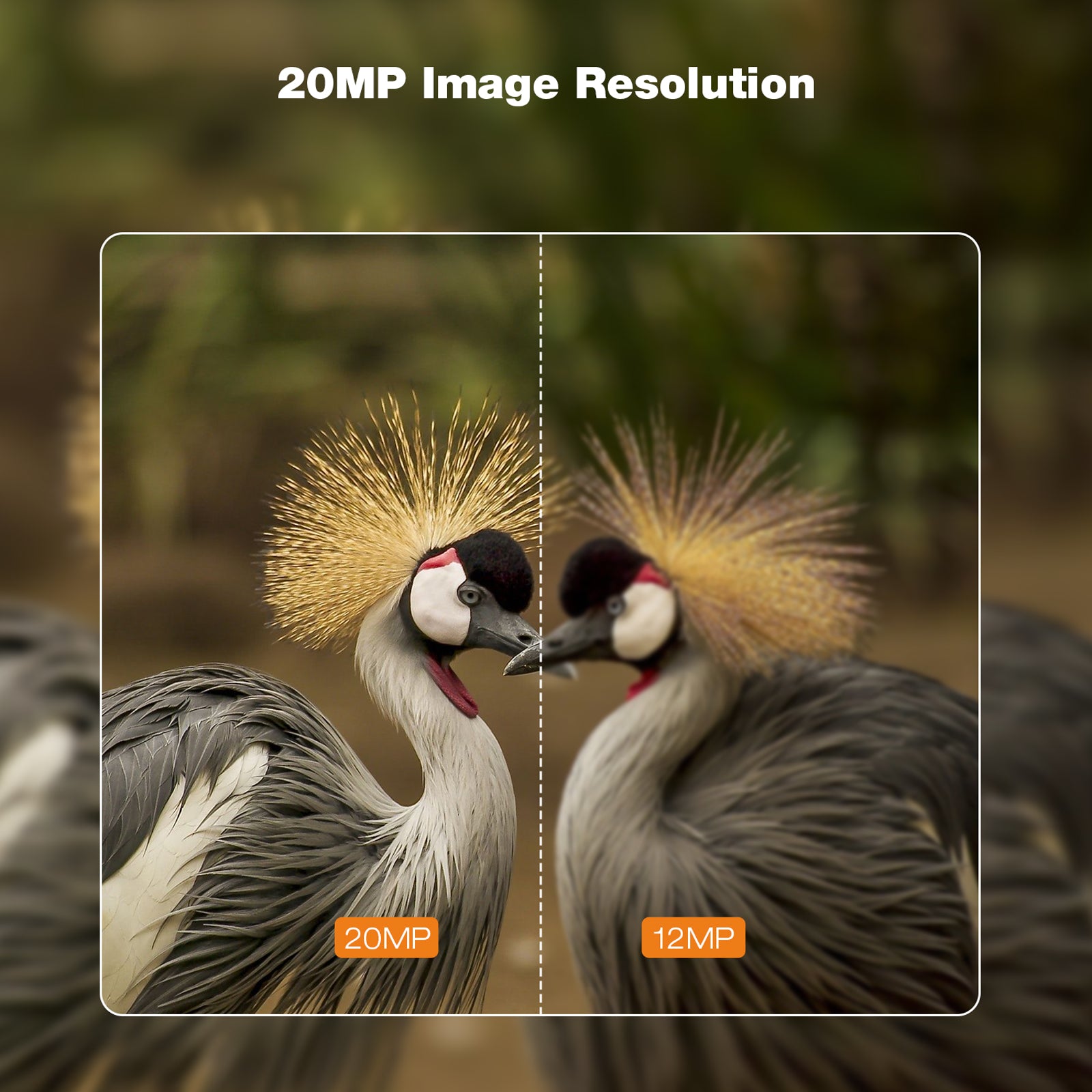 Campark 2 Pack T45A Upgrade Waterproof Trail Camera 20MP 4K Hunting Game Camera (Only Available In The US)