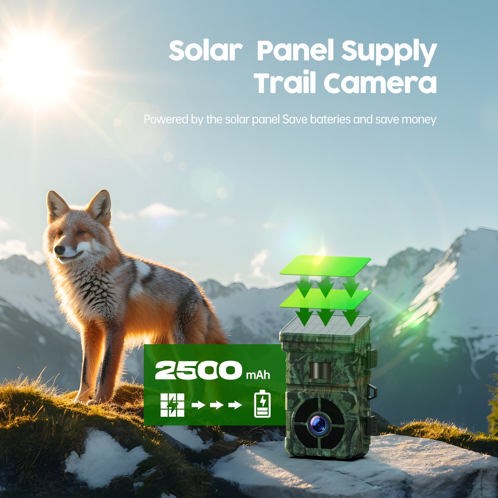 24MP 1080P 2500mAh Built-in Lithium Battery Rechargeable Solar Trail Camera