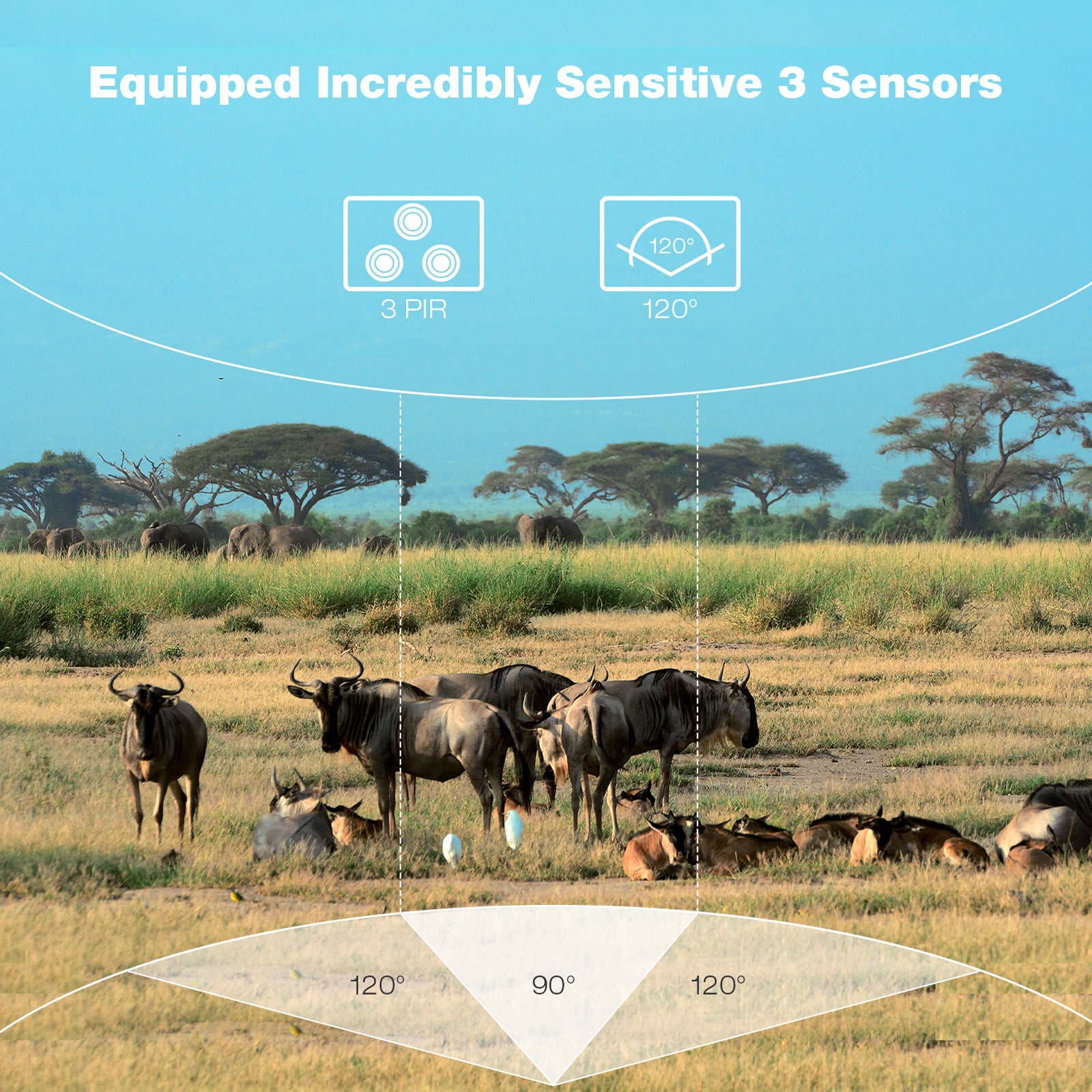 Campark 2 Pack T45A Upgrade Waterproof Trail Camera 20MP 4K Hunting Game Camera (Only Available In The US)