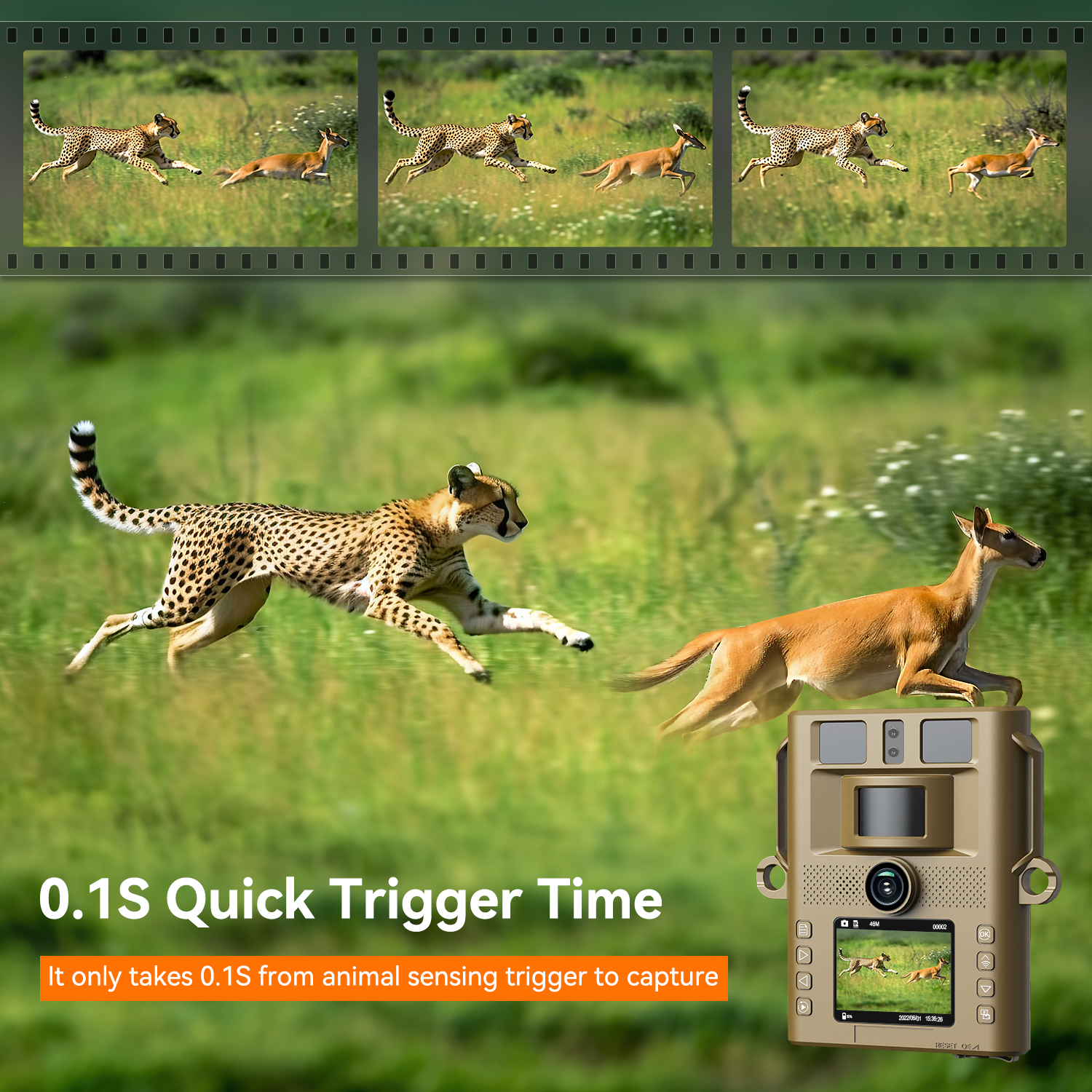 No Glow Infrared Trail Camera