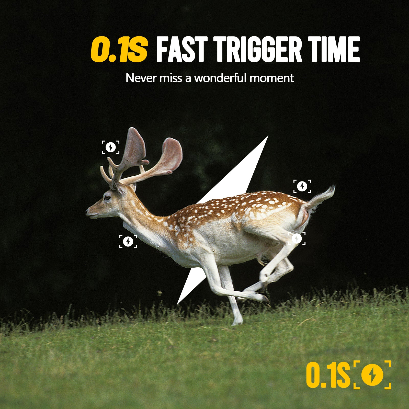 Campark TC28 WiFi Bluetooth Solar Powered 32MP 1080P with 850nm Hunting Camera