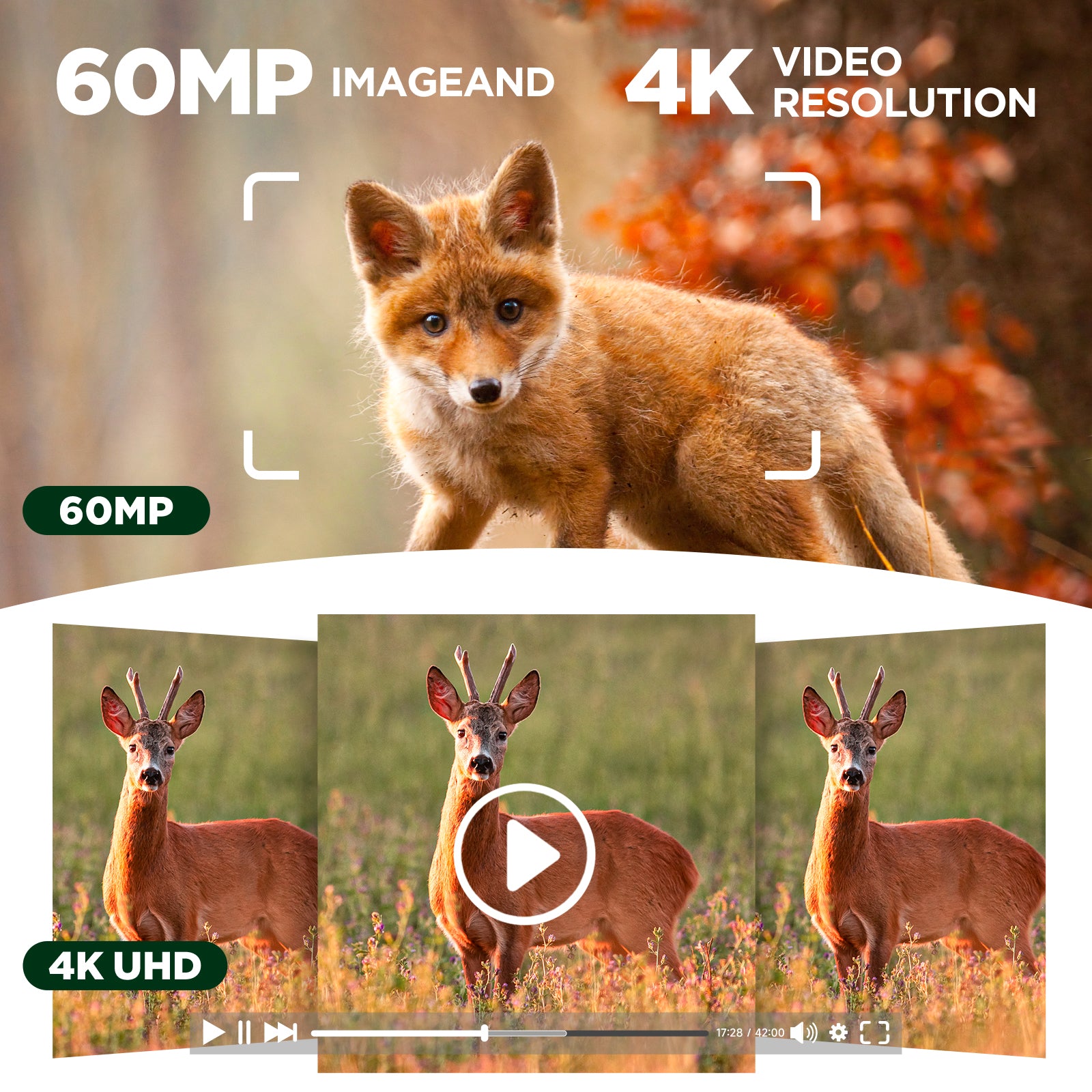WiFi Dual Lens Solar Power Integrated Trail Camera