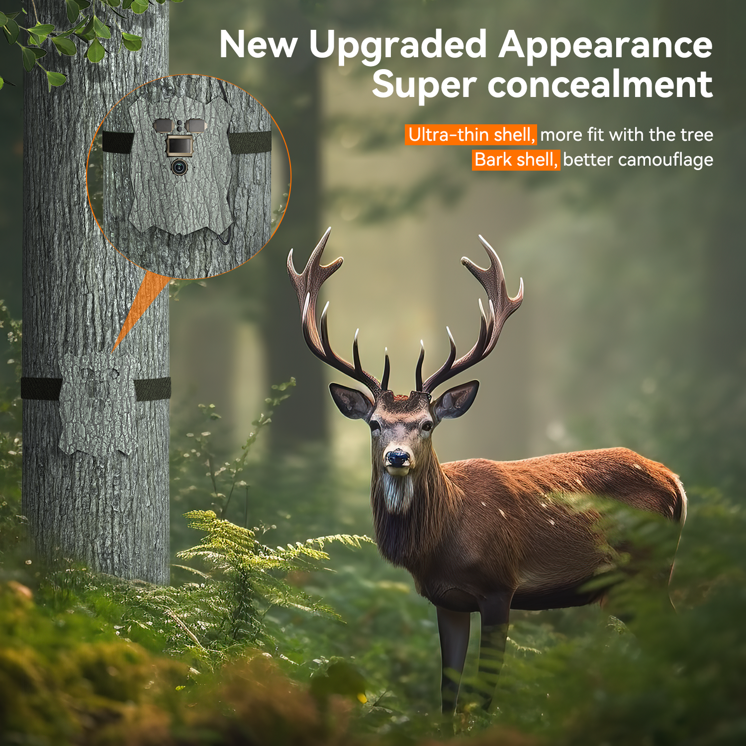 No Glow Infrared Trail Camera