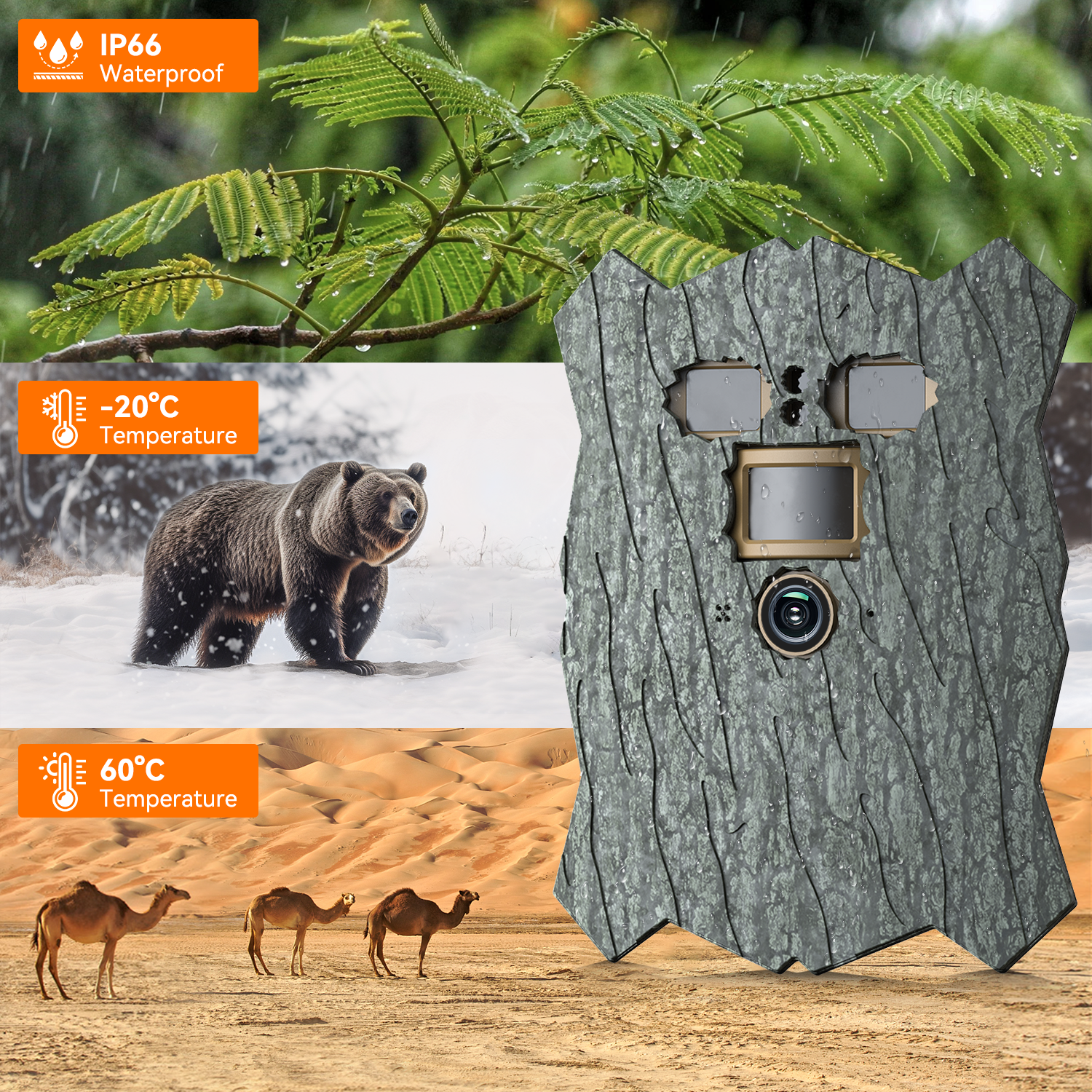 No Glow Infrared Trail Camera