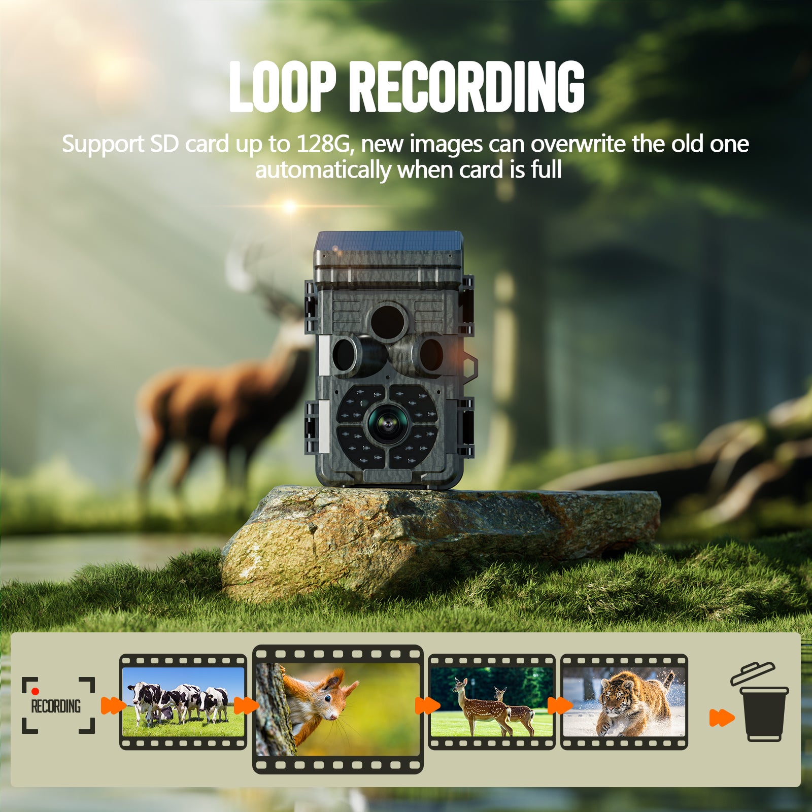 Campark TC28 WiFi Bluetooth Solar Powered 32MP 1080P with 850nm Hunting Camera