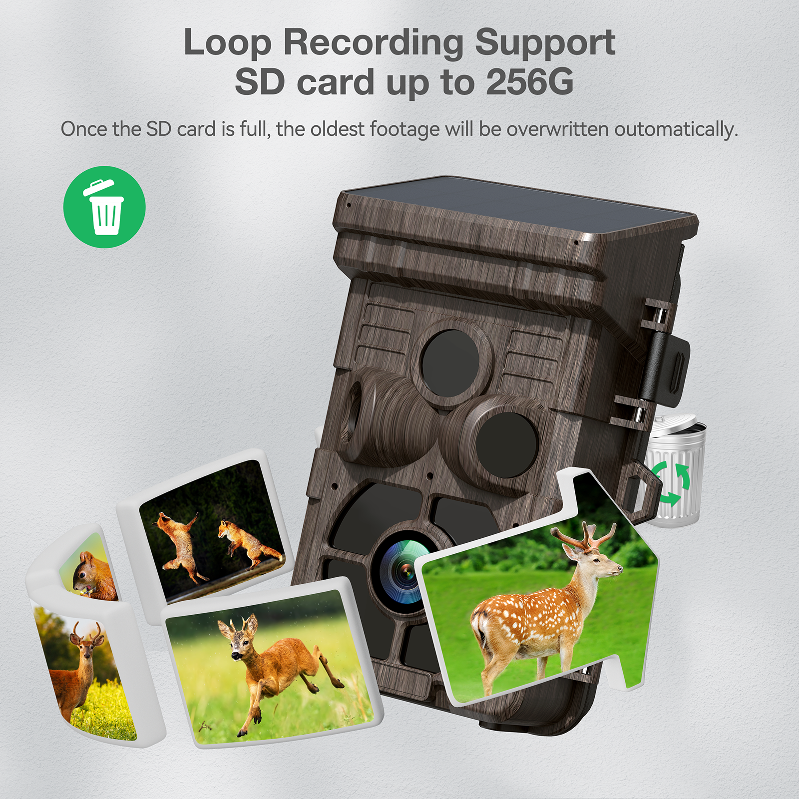 24MP 1080P Trial Camera Solar Powered Integrated Game Camera with Night Vision