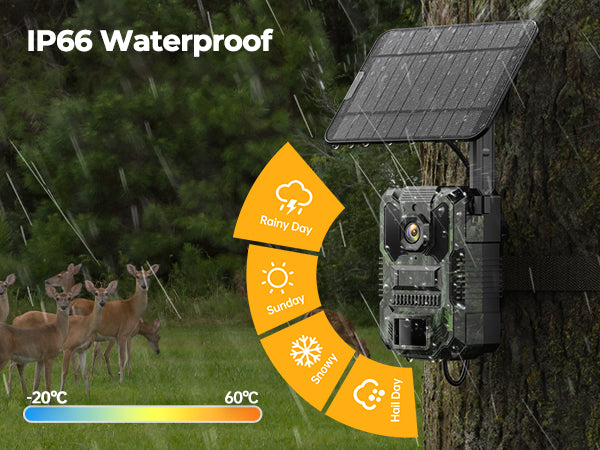 IP66 Waterproof Design