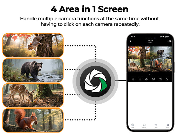 Multi-Camera Live Monitoring