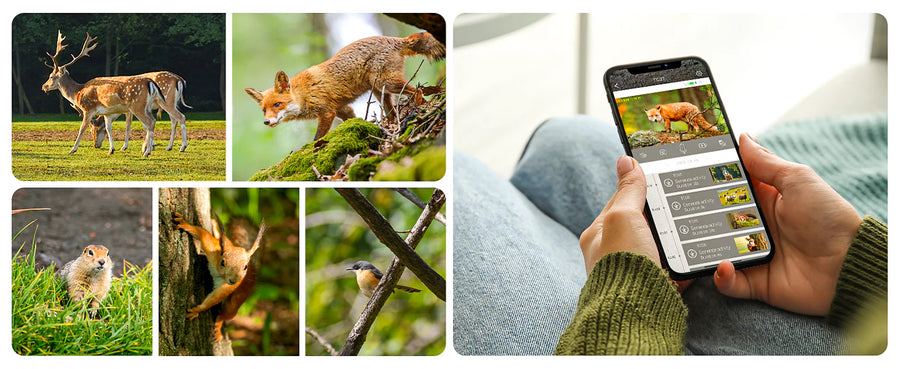 Full Control via the Free UCon App