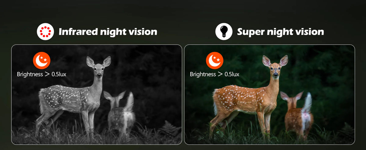 3 Vision Modes for Any Condition
