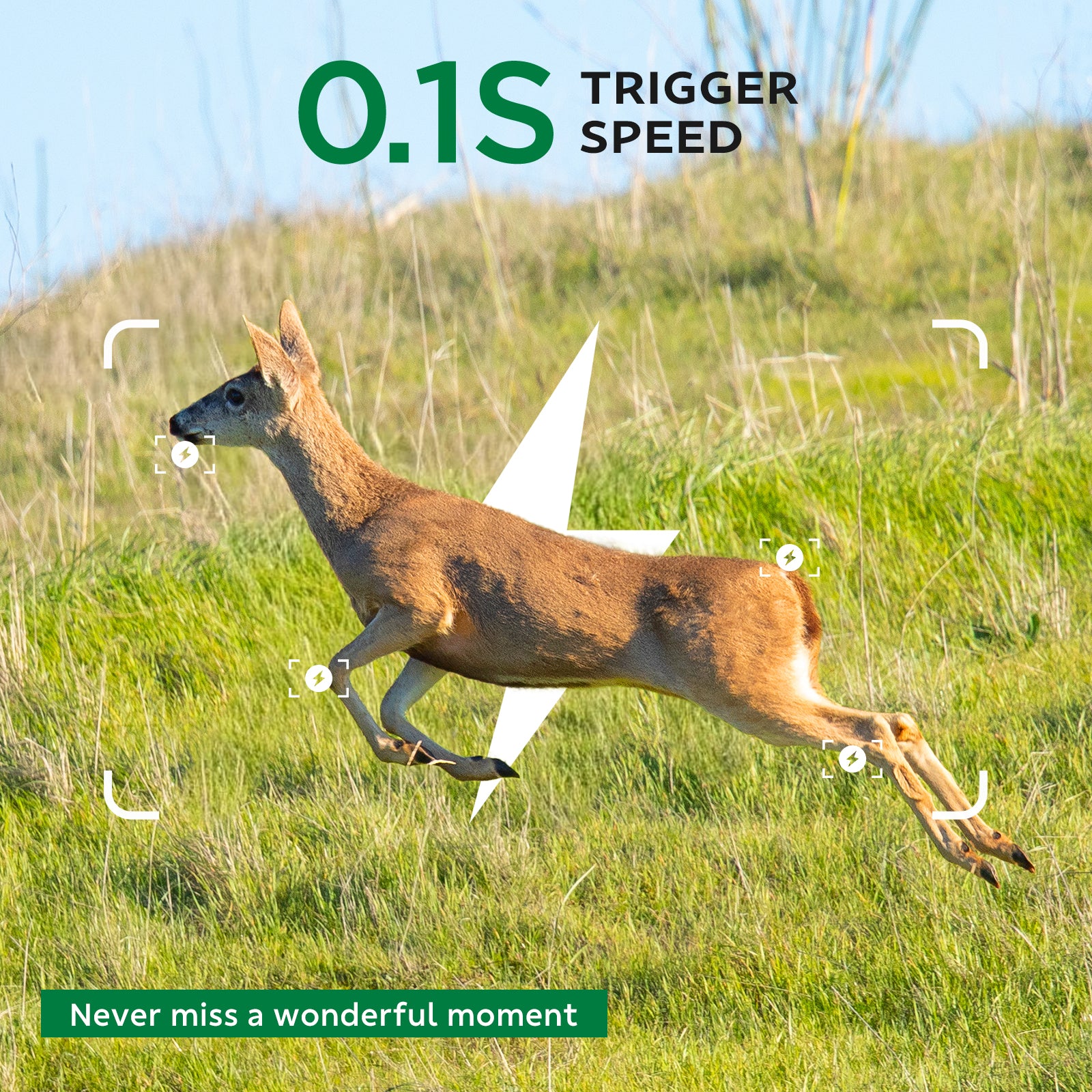 Campark TC29 WIFI Trail Camera, Low Glow Night Vision