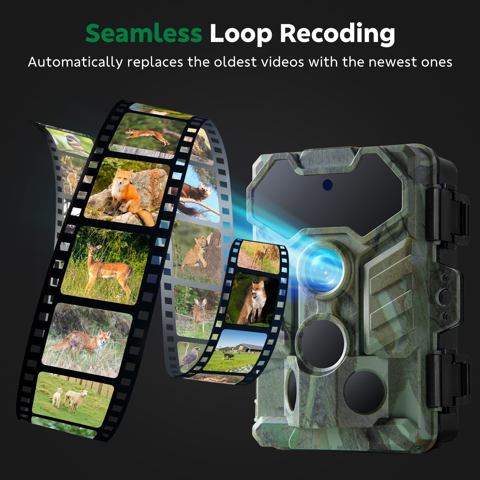 Campark TC29 WIFI Trail Camera, Low Glow Night Vision