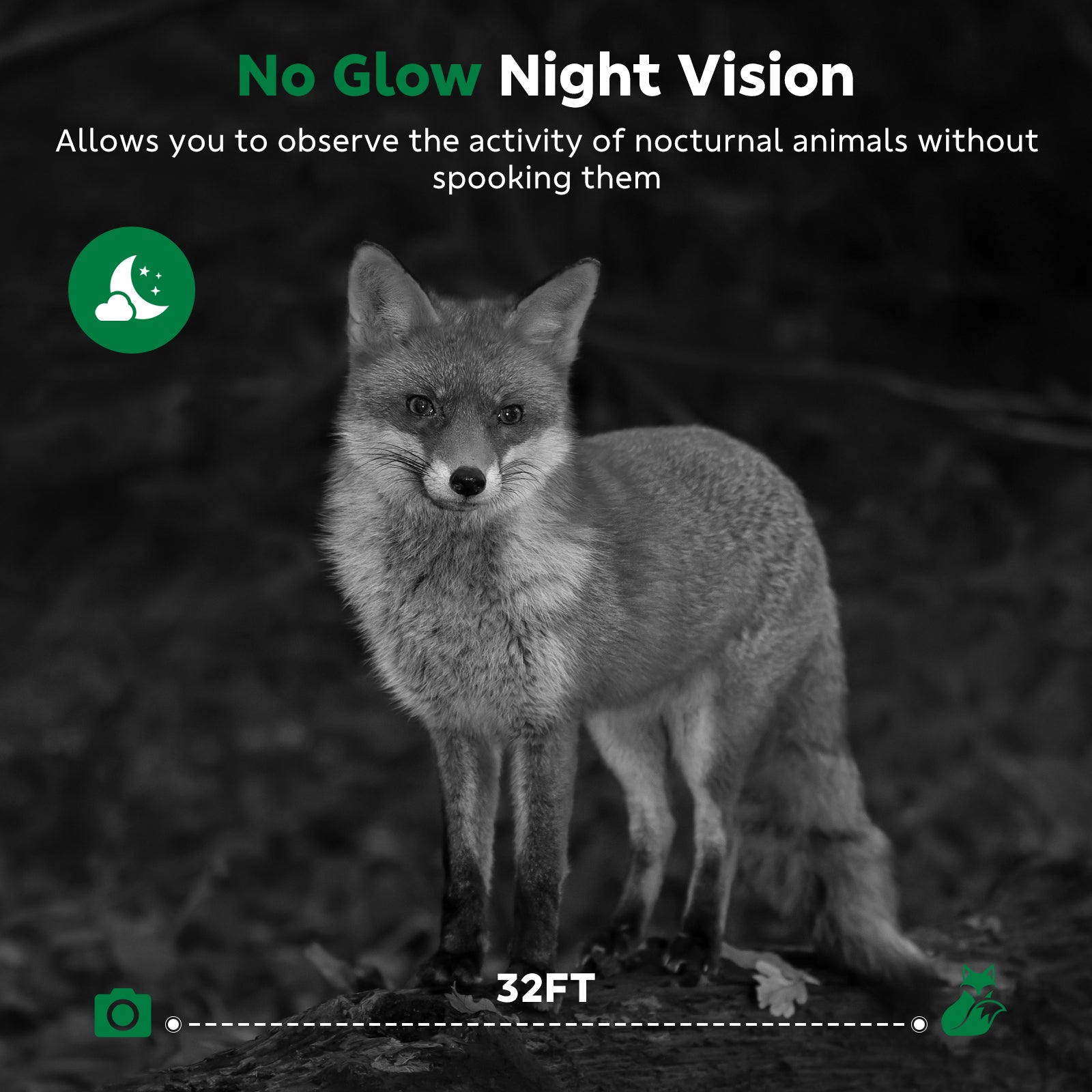 Campark TC29 WIFI Trail Camera, Low Glow Night Vision