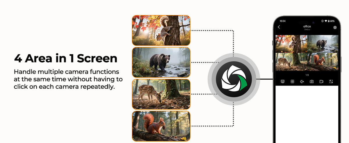 Multi-Camera Live Monitoring