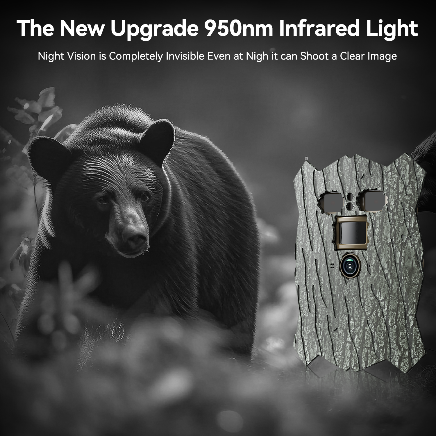 No Glow Infrared Trail Camera