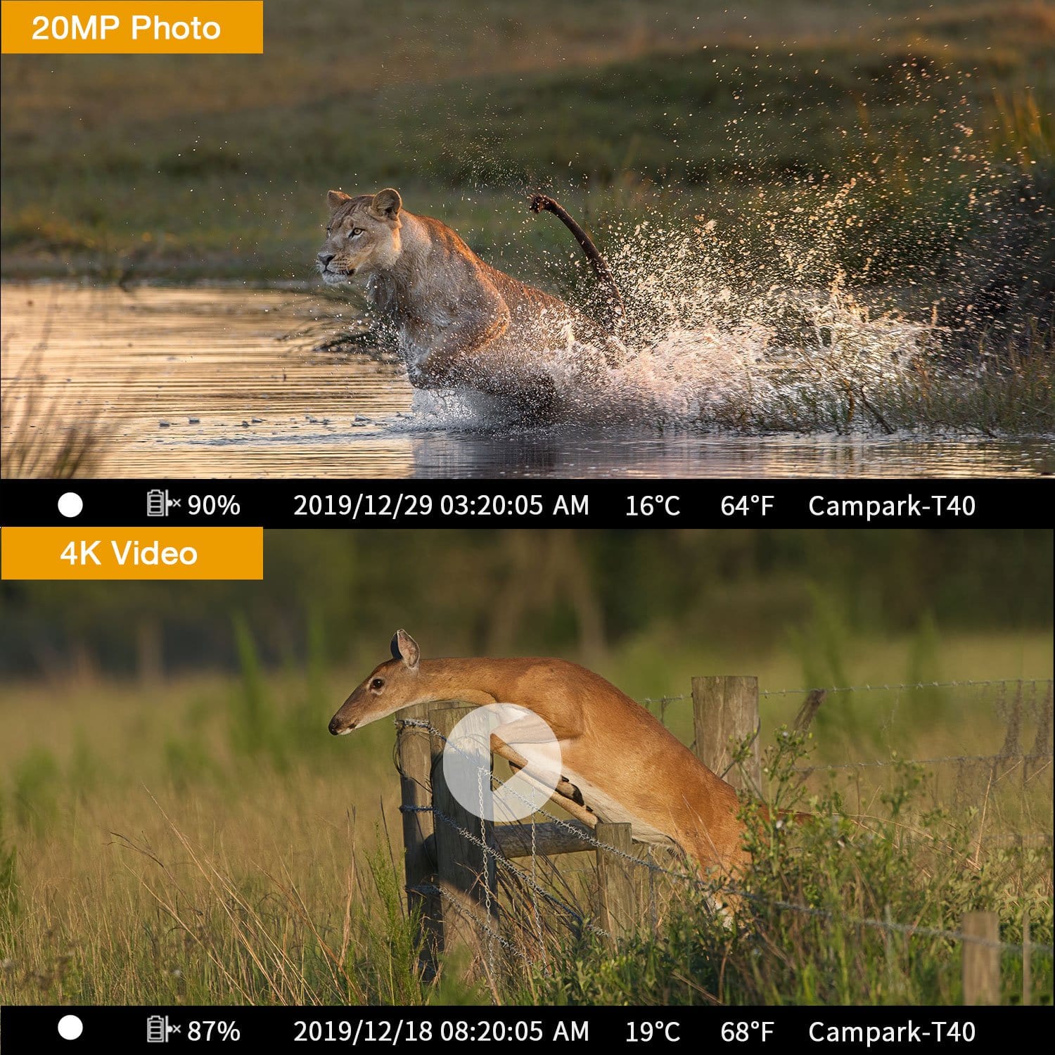 Campark T40-1 Trail Camera has FHD 1080P Video & 16MP Photo Shot