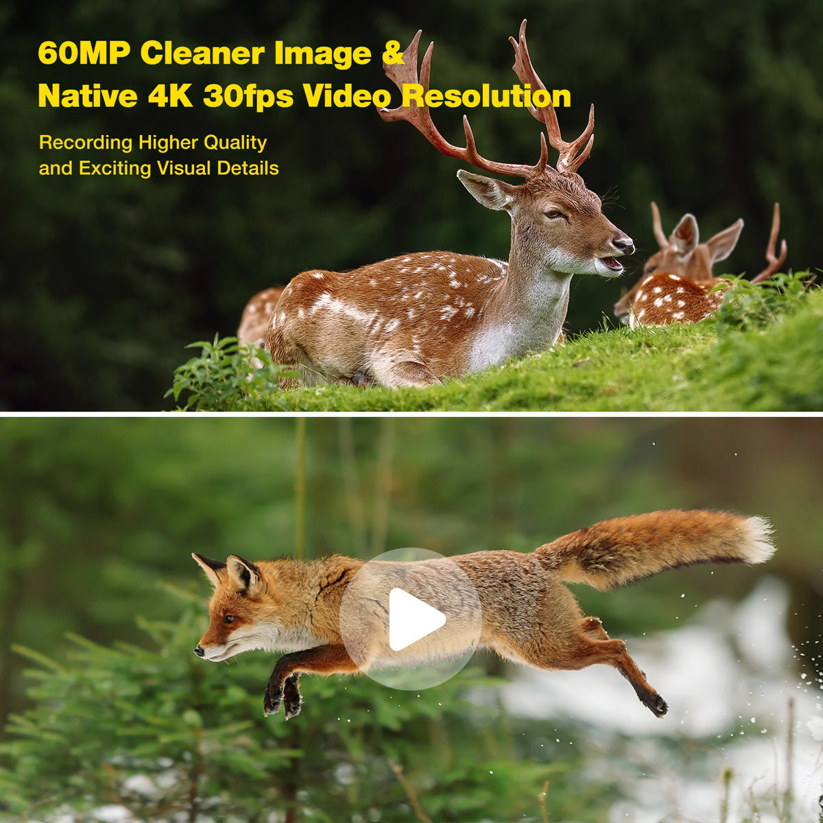 Campark TC06 4K 60MP WiFi Dual Lens Trail Camera with Color Night Vision
