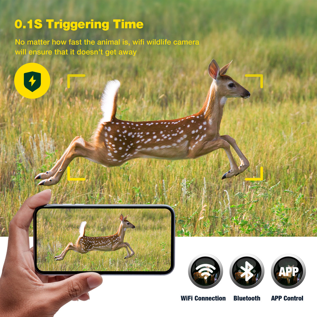 Campark TC06 4K 60MP WiFi Dual Lens Trail Camera with Color Night Vision
