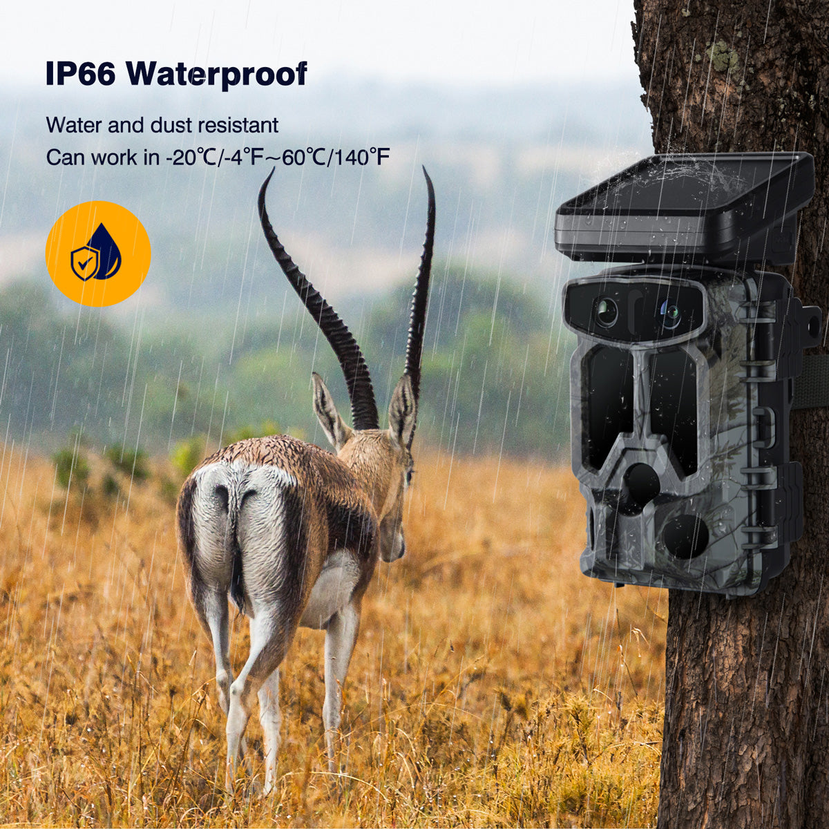 Campark TC07 4K 60MP WiFi Solar Power Dual Lens Wildlife Camera Trail Camera