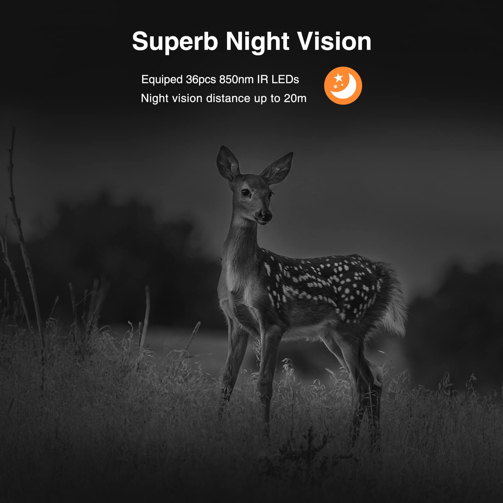 Campark T180 TC08 WiFi Bluetooth Trail Camera, 2025 Upgraded to 112MP+4K