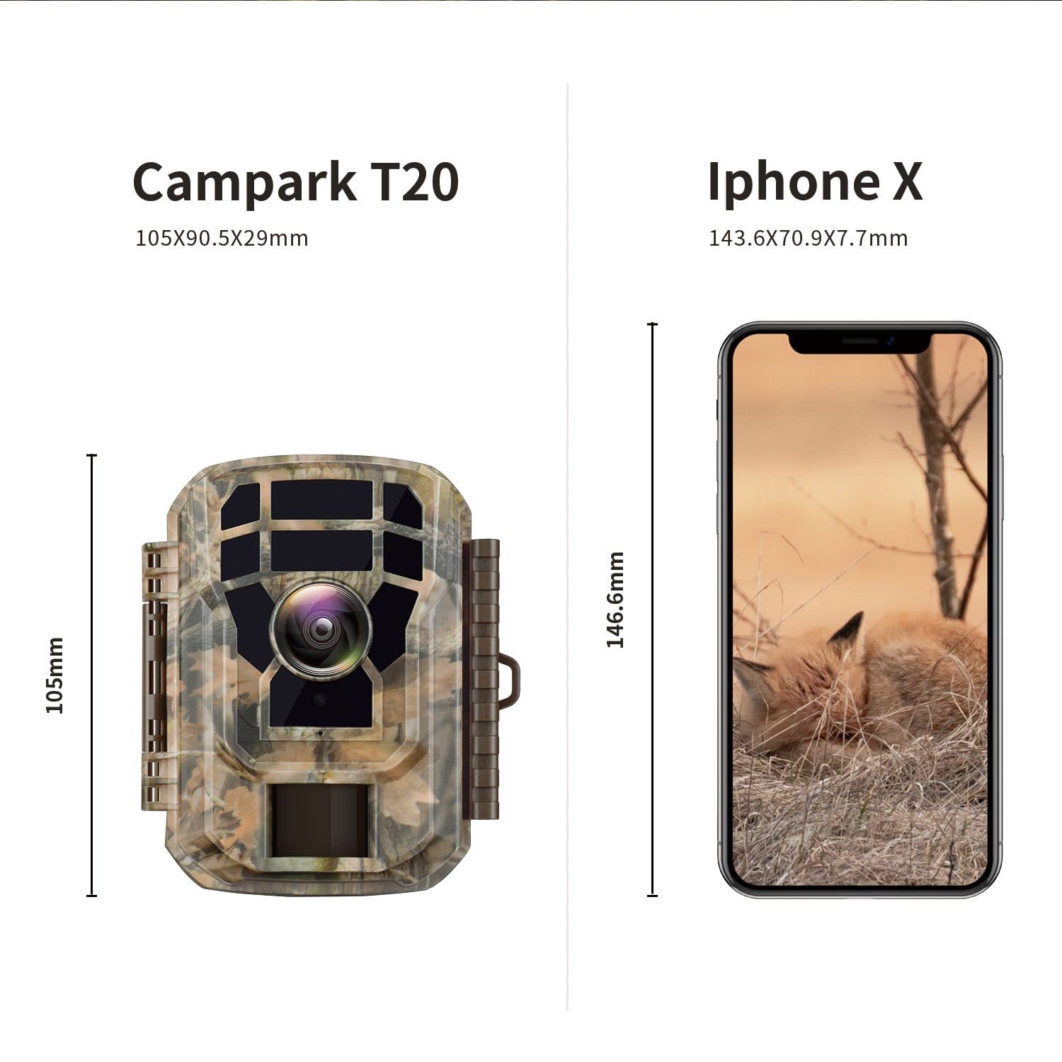 Campark T20 Trail Camera size