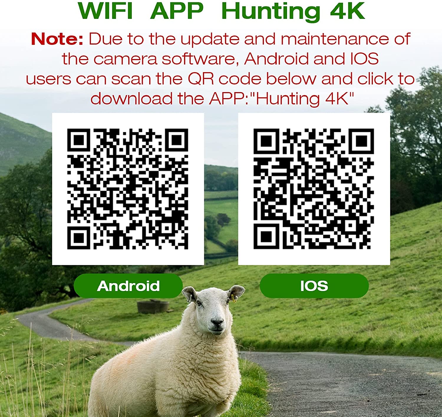 phone connected to the QR code of Campark T200 Solar Trail Camera