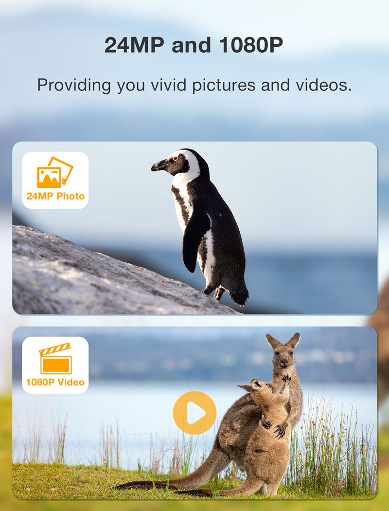 Campark TC11 Full HD 1080P 24MP Easy-To-Hide Mini Trail Camera