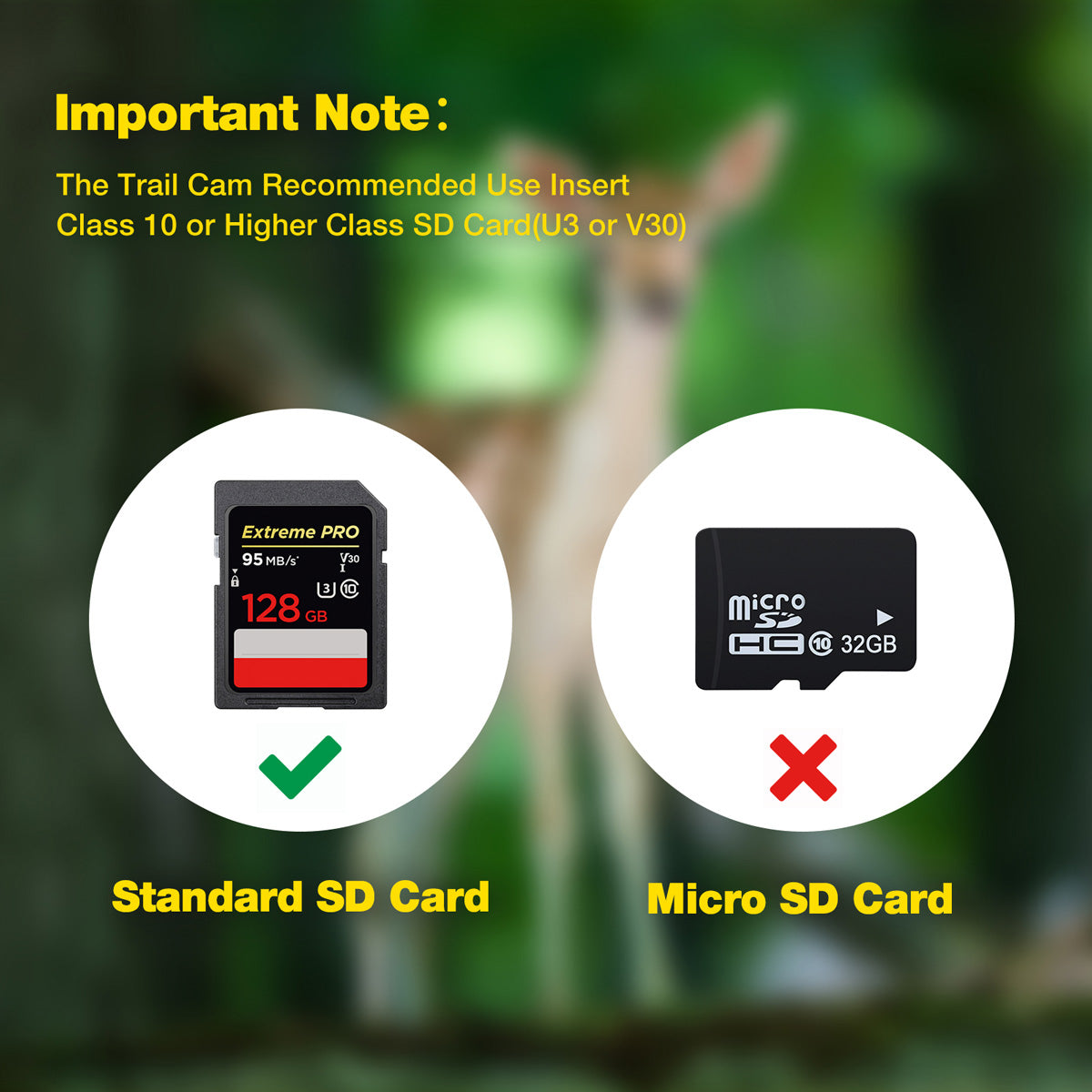 Campark TC06 4K 60MP WiFi Dual Lens Trail Camera with Color Night Vision